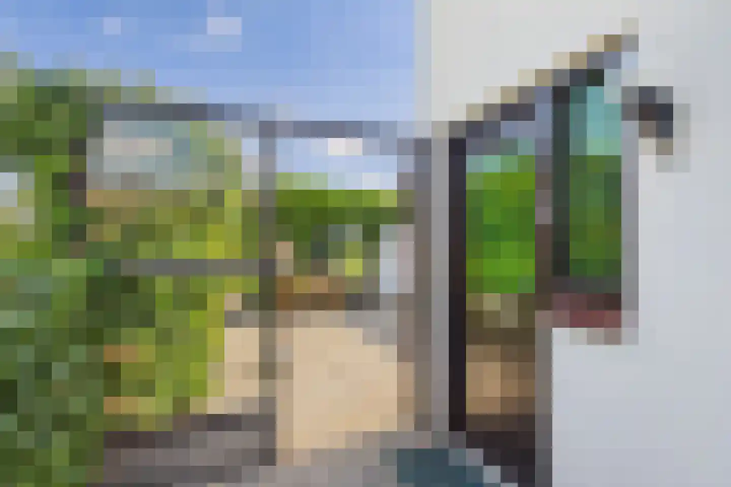 Drie Gezustersdijk 3 Vogelwaarde thumbnail 5