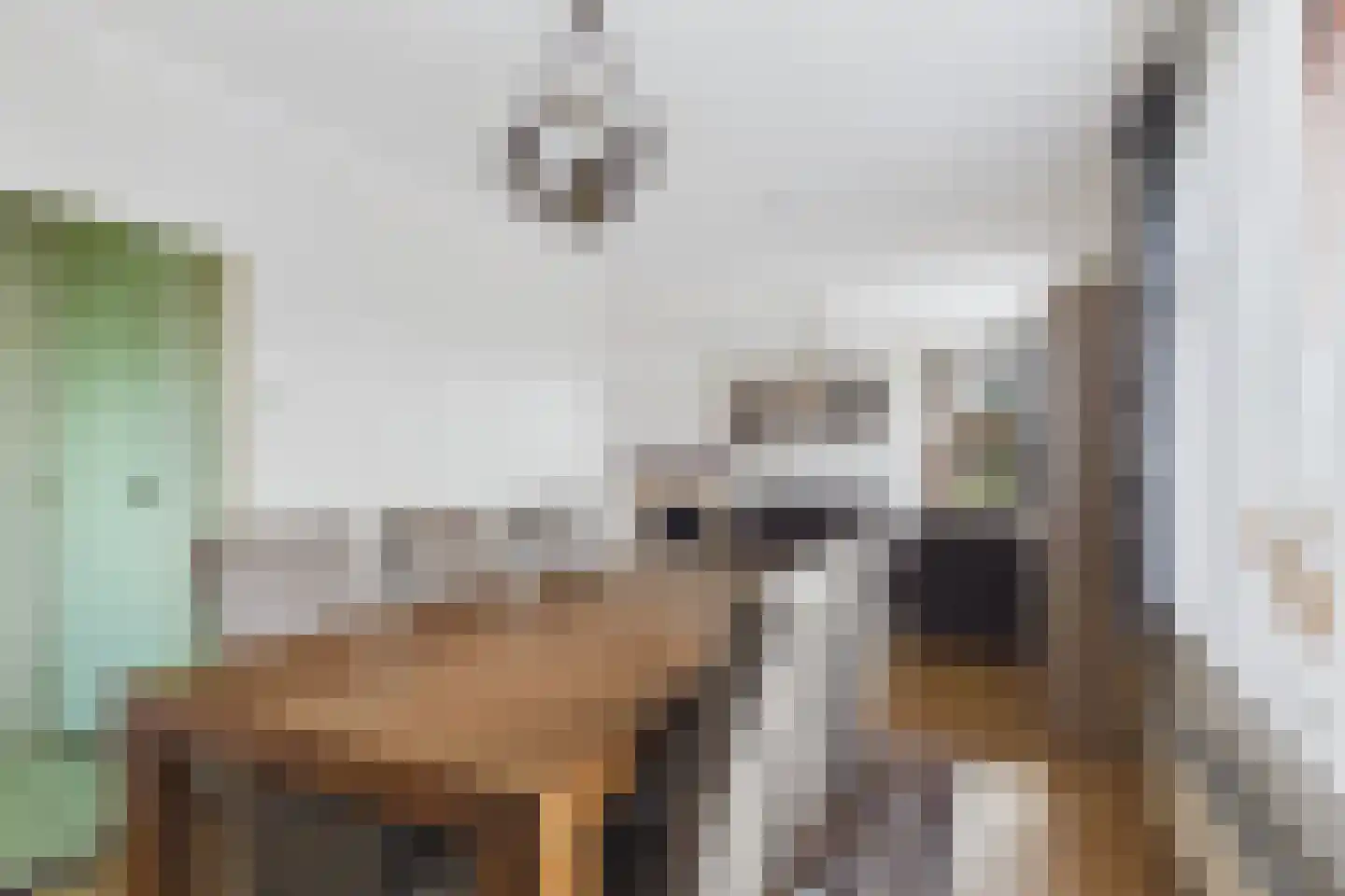 Drie Gezustersdijk 3 Vogelwaarde thumbnail 9