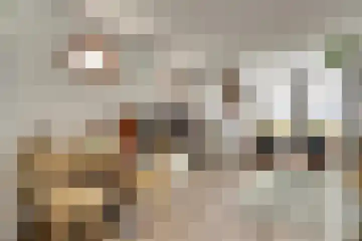 Drie Groene Eikels 21 Enkhuizen thumbnail 10