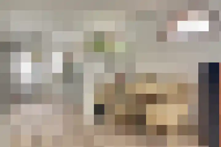 Drie Groene Eikels 21 Enkhuizen thumbnail 12