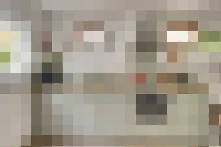 Drie Groene Eikels 21 Enkhuizen thumbnail 13