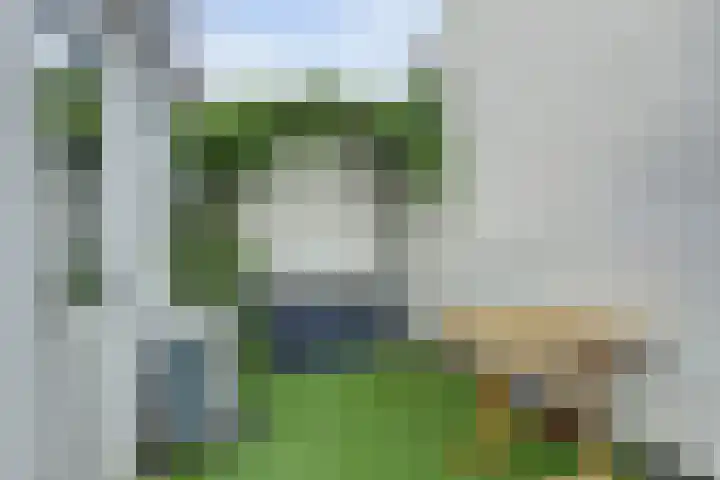Drie Groene Eikels 21 Enkhuizen thumbnail 17