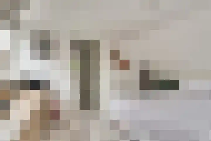 Drie Groene Eikels 21 Enkhuizen thumbnail 20