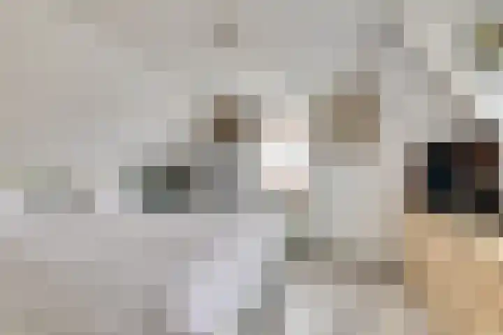 Drie Groene Eikels 21 Enkhuizen thumbnail 21