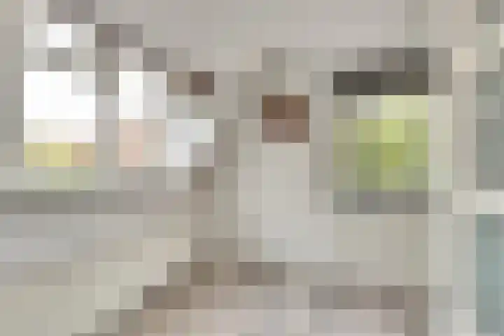 Drie Groene Eikels 21 Enkhuizen thumbnail 28