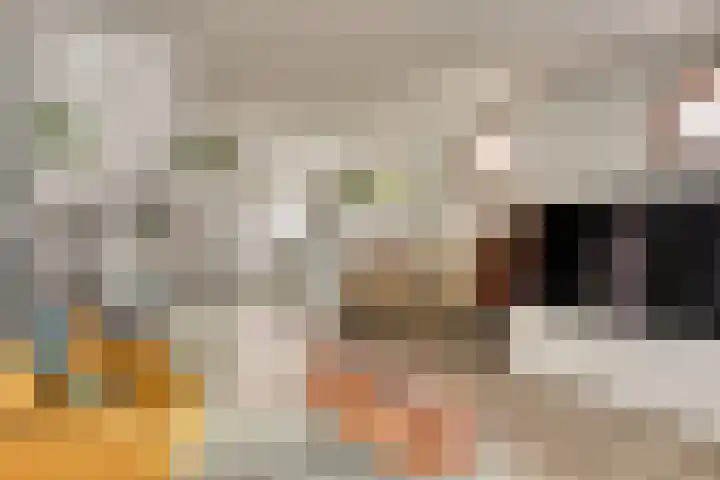 Drie Groene Eikels 21 Enkhuizen thumbnail 9