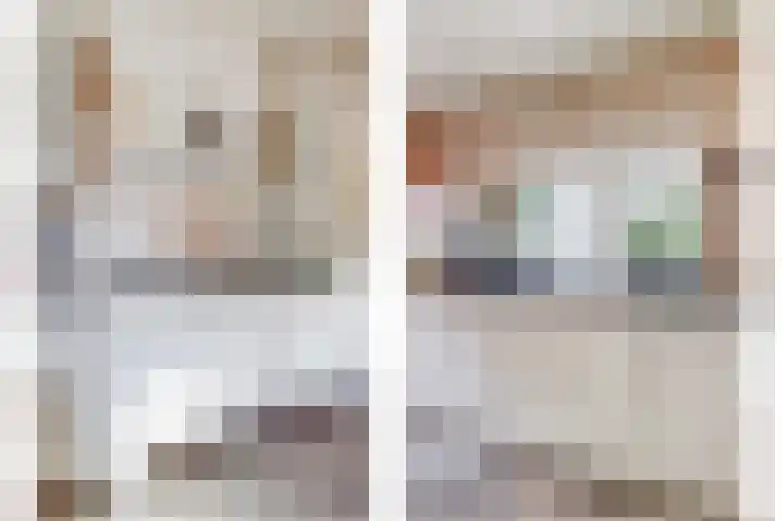 Drie Haasjes 21 Rilland thumbnail 10