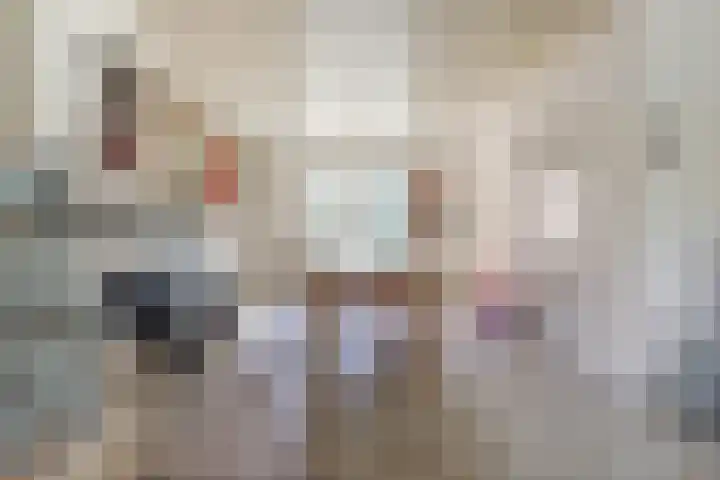 Drie Haasjes 21 Rilland thumbnail 14