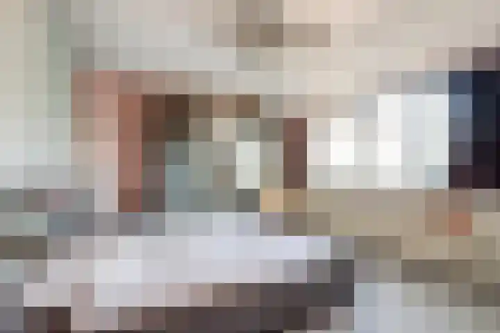 Drie Haasjes 21 Rilland thumbnail 17
