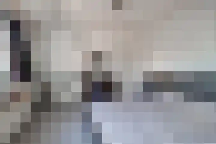 Drie Haasjes 21 Rilland thumbnail 18