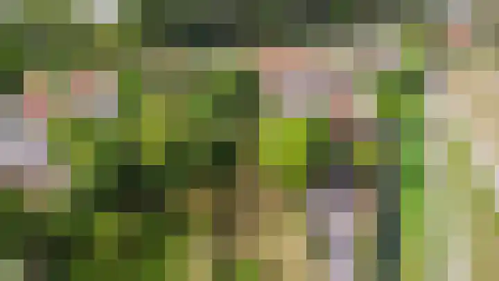 Drie Haasjes 21 Rilland thumbnail 28