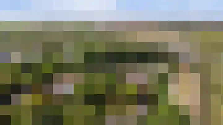 Drie Haasjes 21 Rilland thumbnail 29