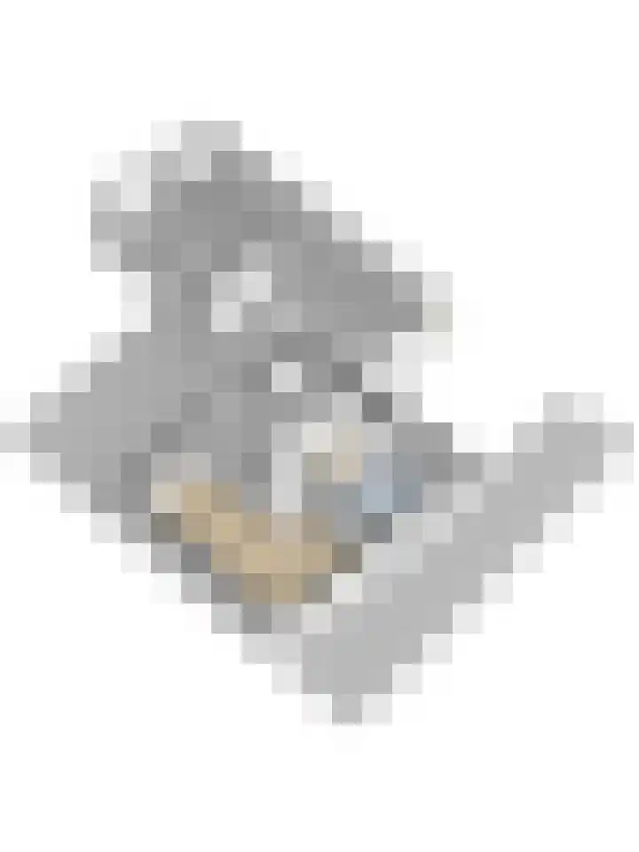 Drie Haasjes 21 Rilland thumbnail 34