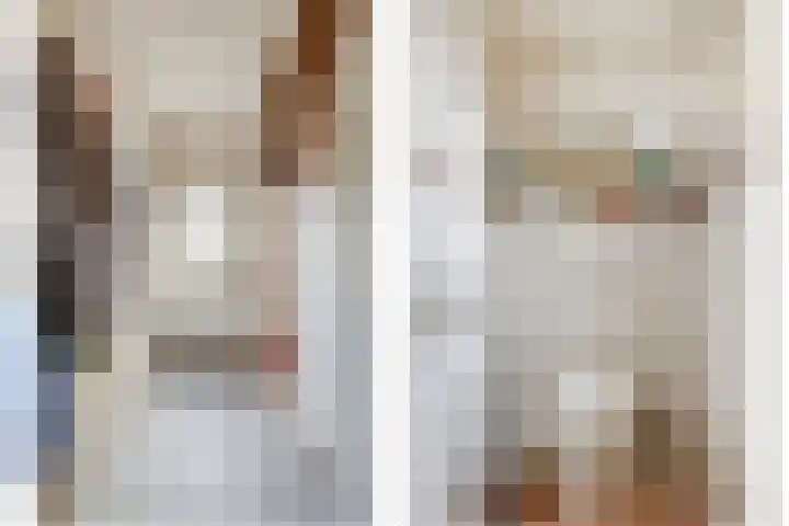 Drie Haasjes 21 Rilland thumbnail 8