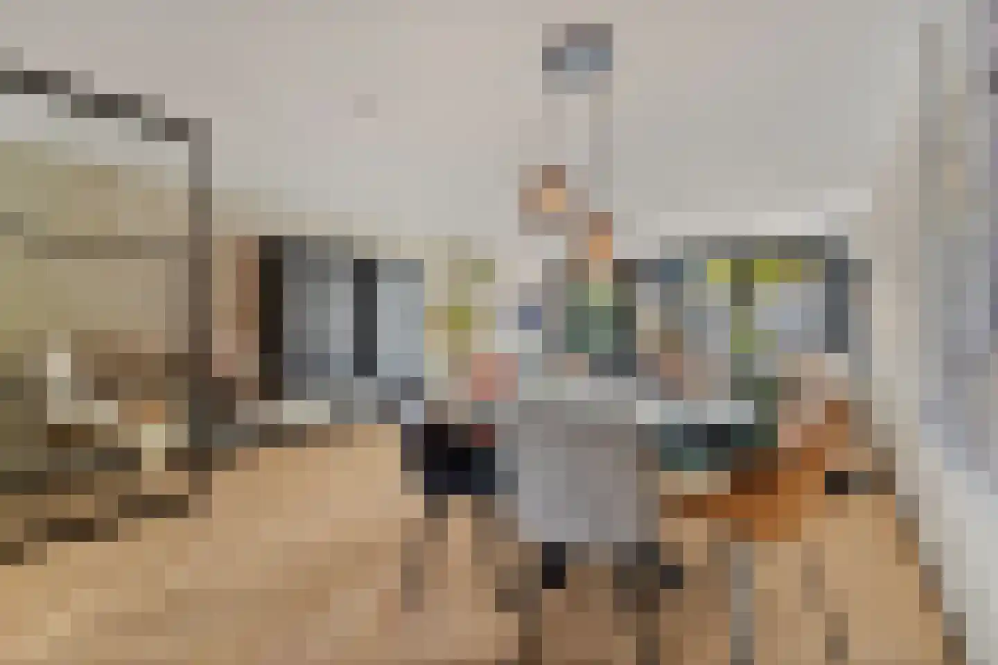 Drie Hoeven 11 Maasland thumbnail 15
