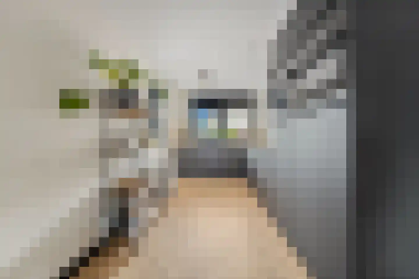 Drie Hoeven 11 Maasland thumbnail 16