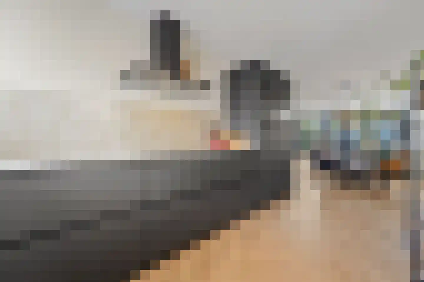 Drie Hoeven 11 Maasland thumbnail 17