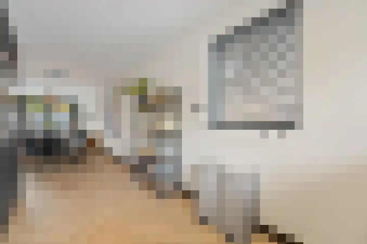 Drie Hoeven 11 Maasland thumbnail 18