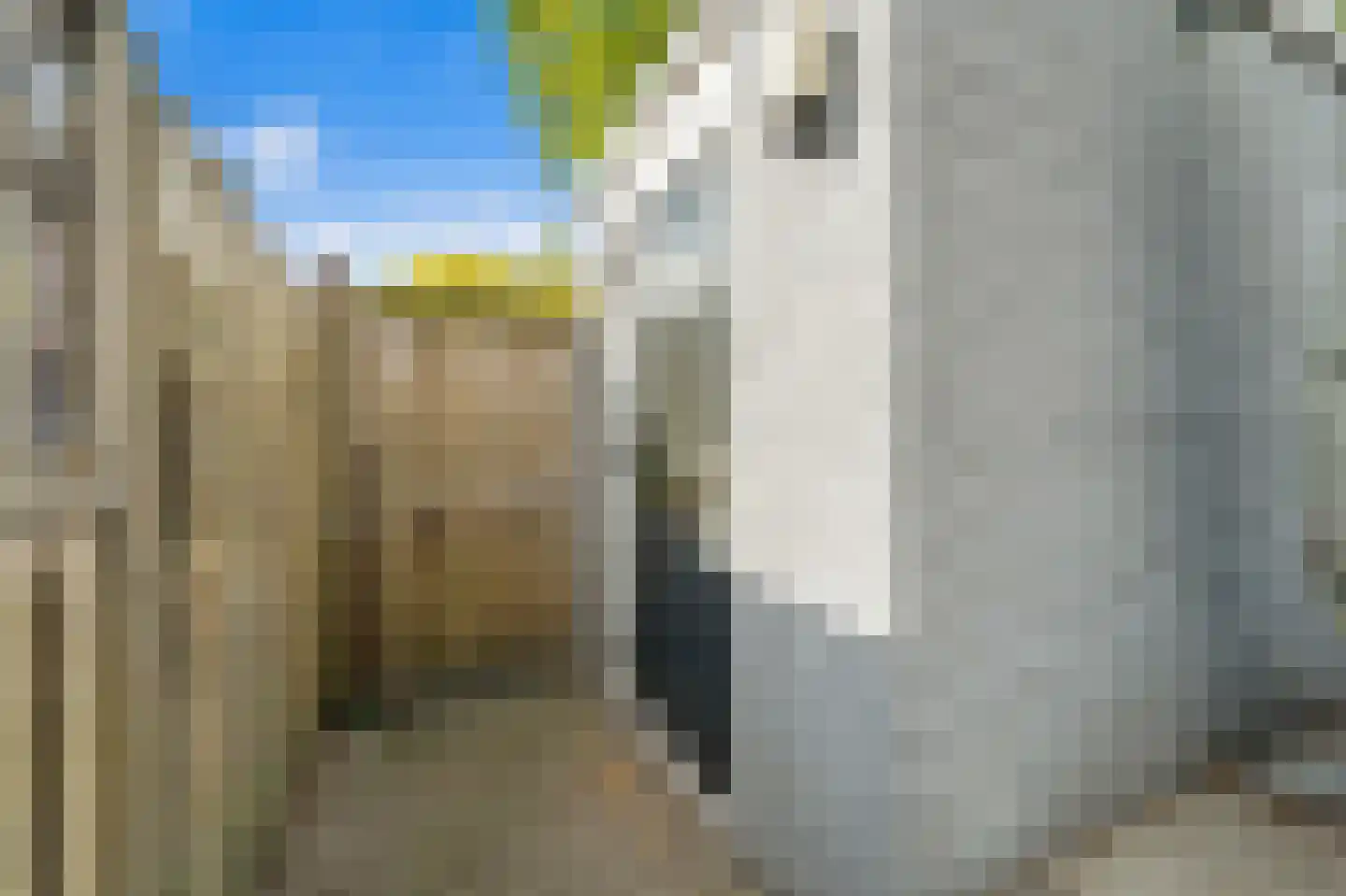 Drie Hoeven 11 Maasland thumbnail 23