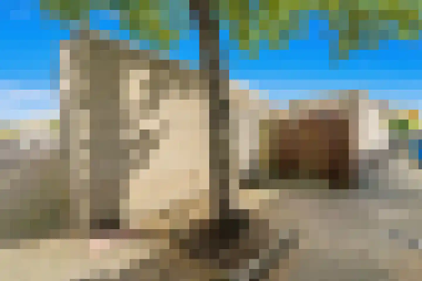 Drie Hoeven 11 Maasland thumbnail 24