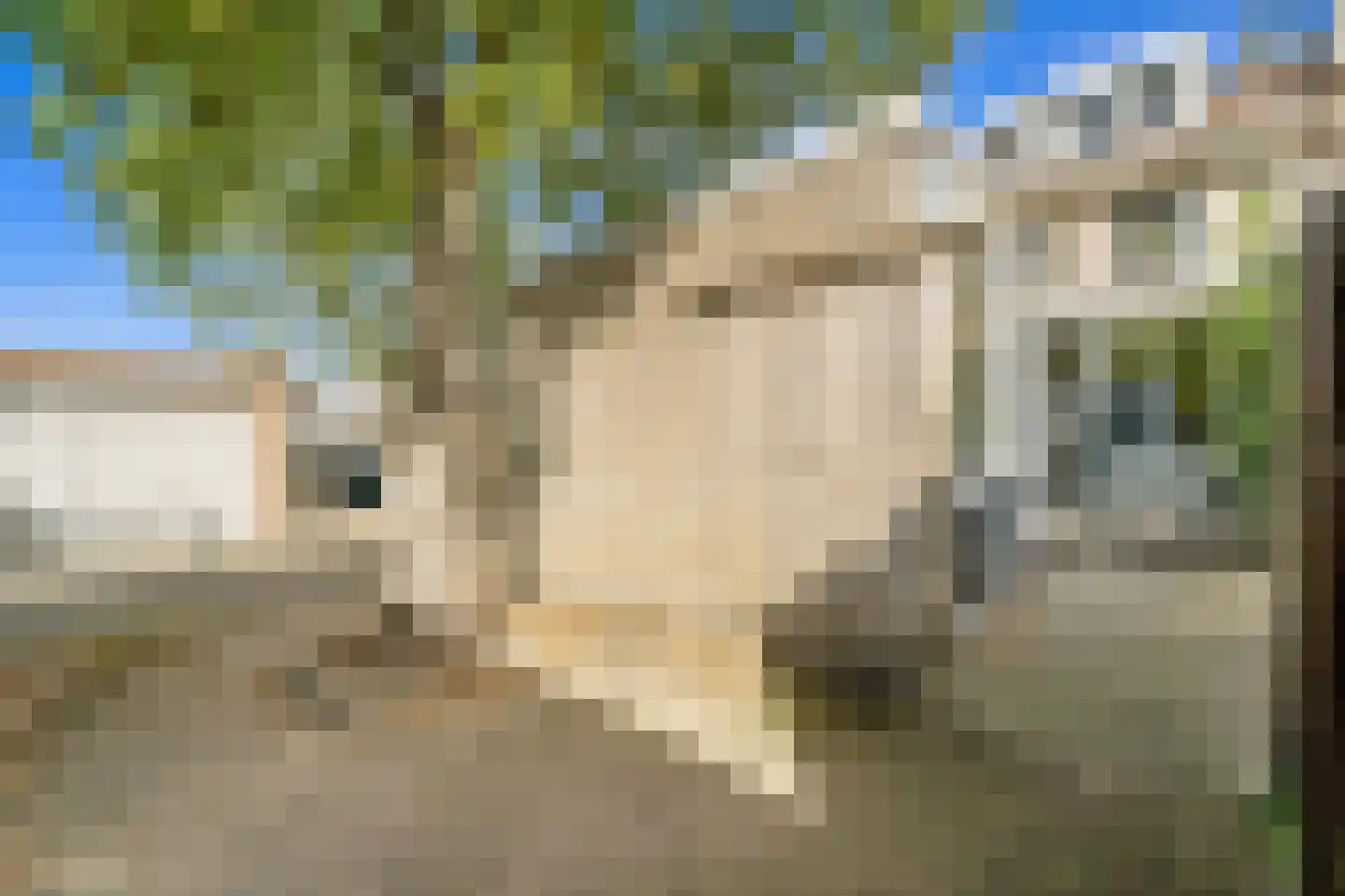 Drie Hoeven 11 Maasland thumbnail 25