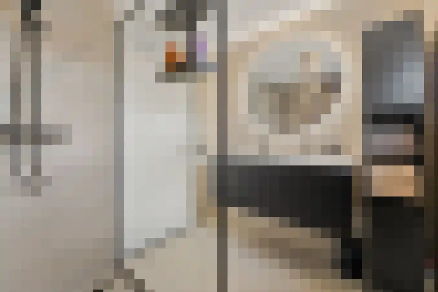 Drie Hoeven 11 Maasland thumbnail 30