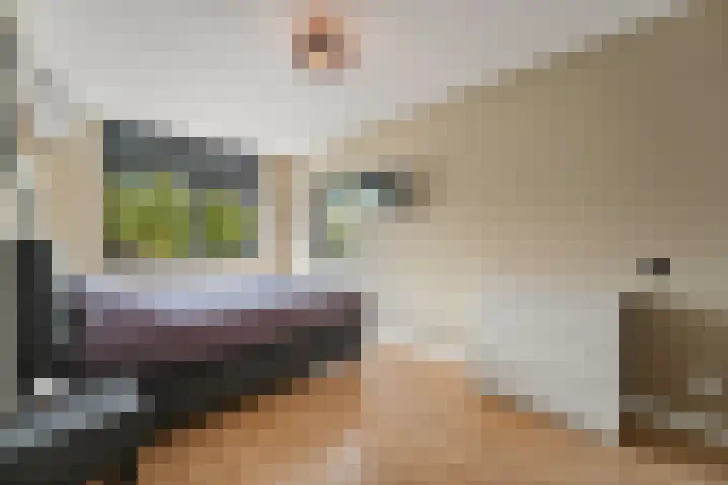 Drie Hoeven 11 Maasland thumbnail 36
