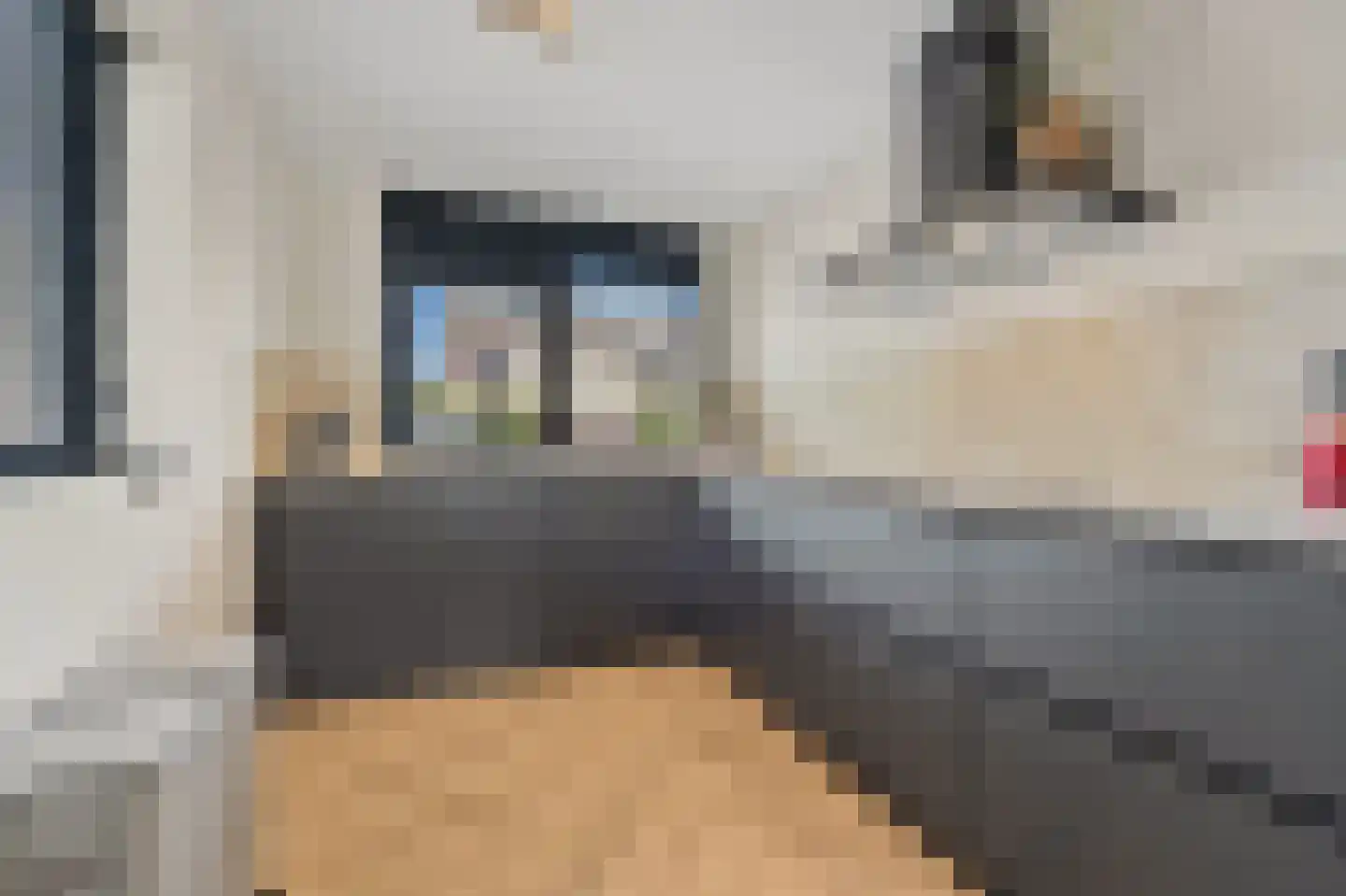 Drie Hoeven 11 Maasland thumbnail 4