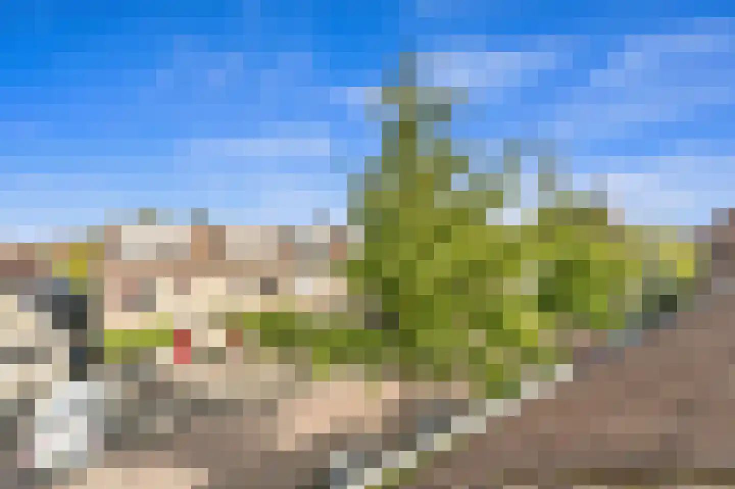 Drie Hoeven 11 Maasland thumbnail 44