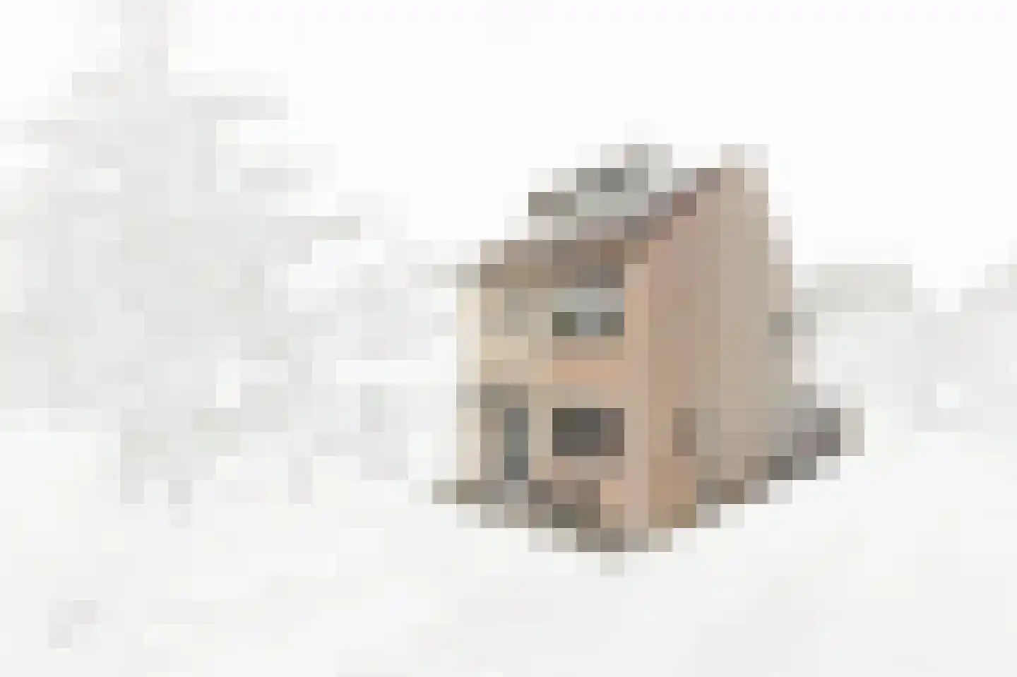 Drie Hoeven 11 Maasland thumbnail 6