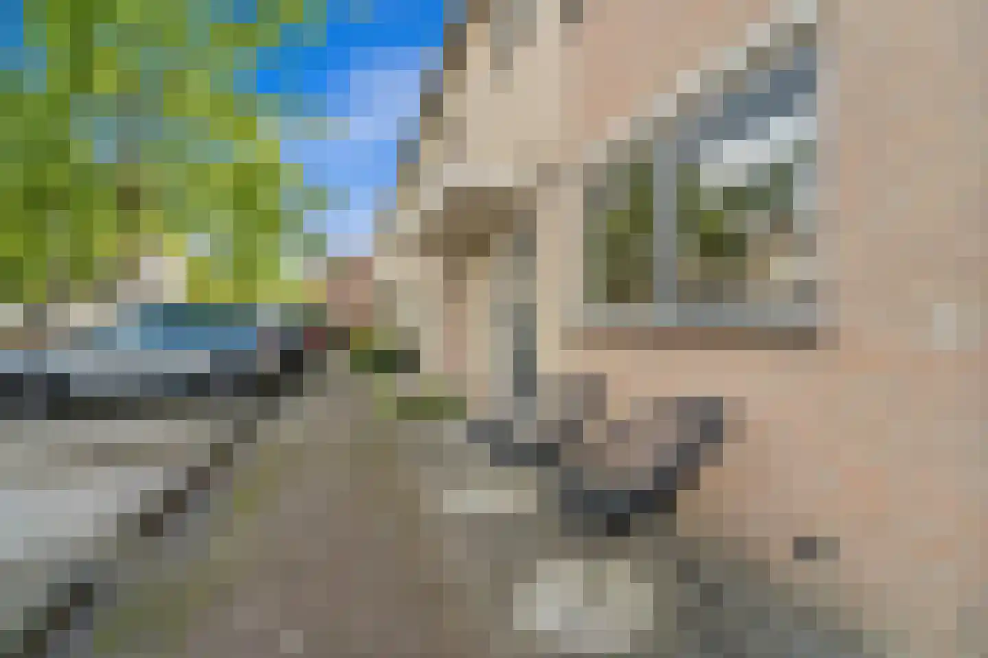 Drie Hoeven 11 Maasland thumbnail 7