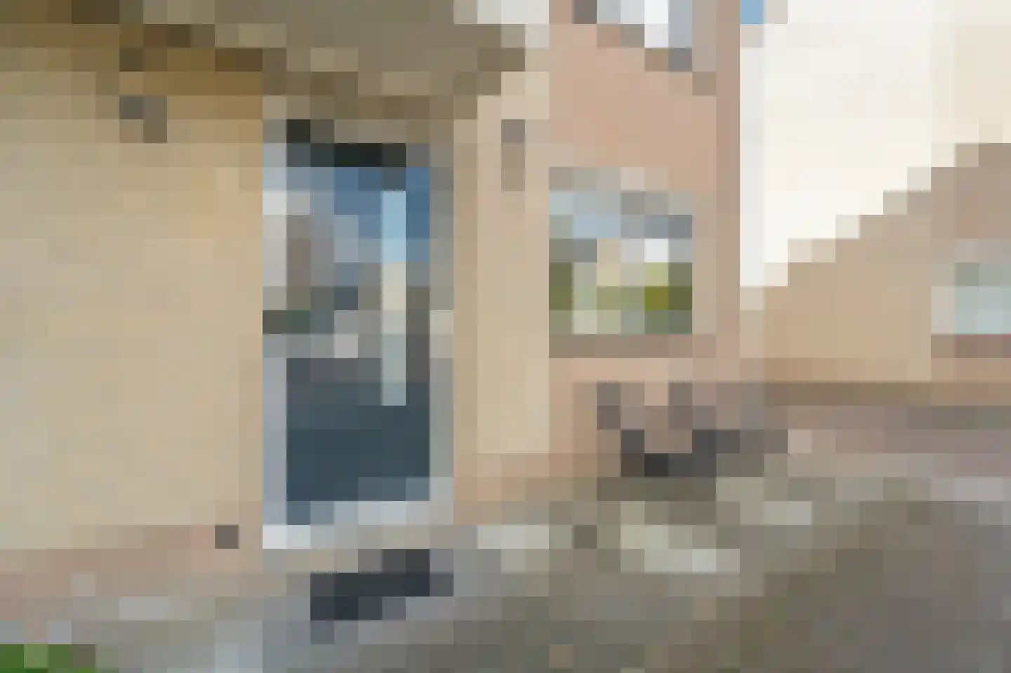 Drie Hoeven 11 Maasland thumbnail 8