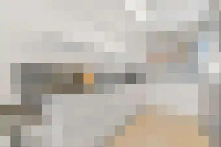 Drie Hoeven 27 Maasland thumbnail 13