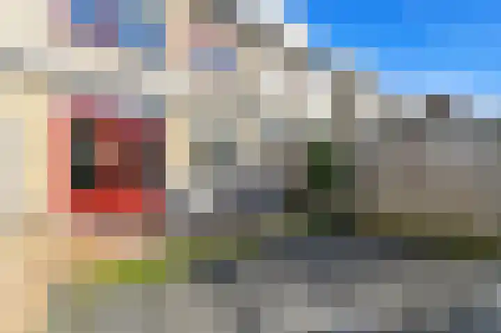 Drie Hoeven 27 Maasland thumbnail 14
