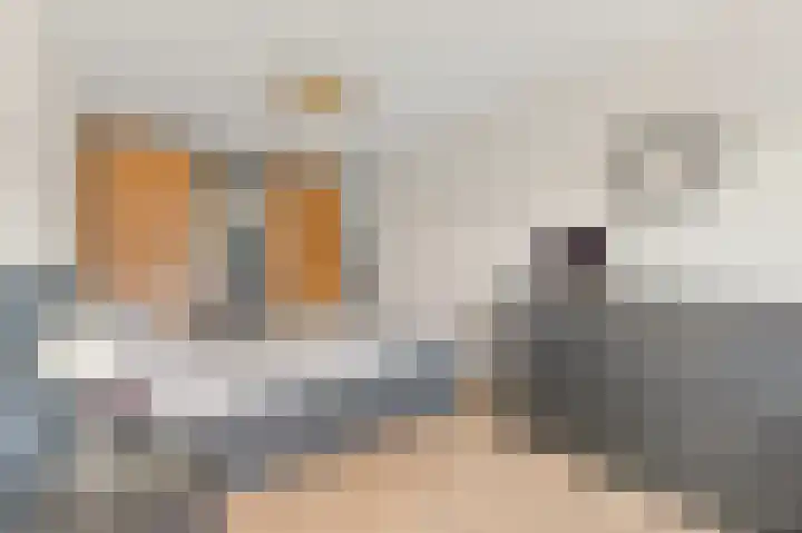 Drie Hoeven 27 Maasland thumbnail 20