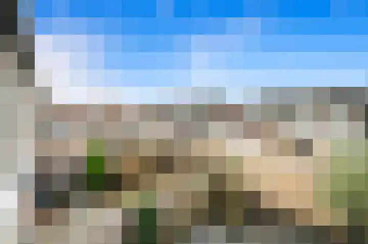 Drie Hoeven 27 Maasland thumbnail 34