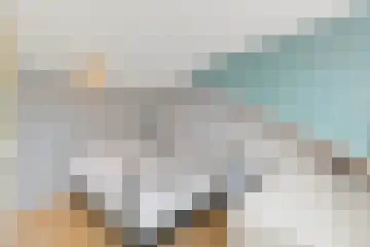 Drie Hoeven 27 Maasland thumbnail 37