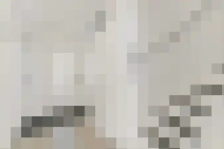 Drie Hoeven 27 Maasland thumbnail 5
