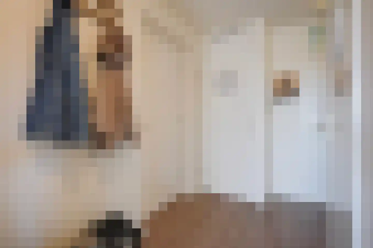 Drie Hoeven 47 Maasland thumbnail 15
