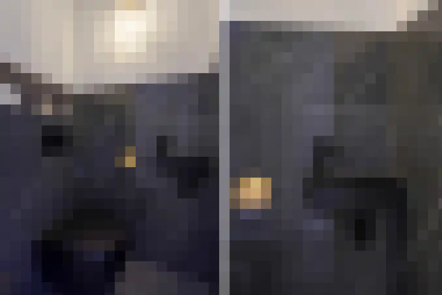 Drie Hoeven 47 Maasland thumbnail 18