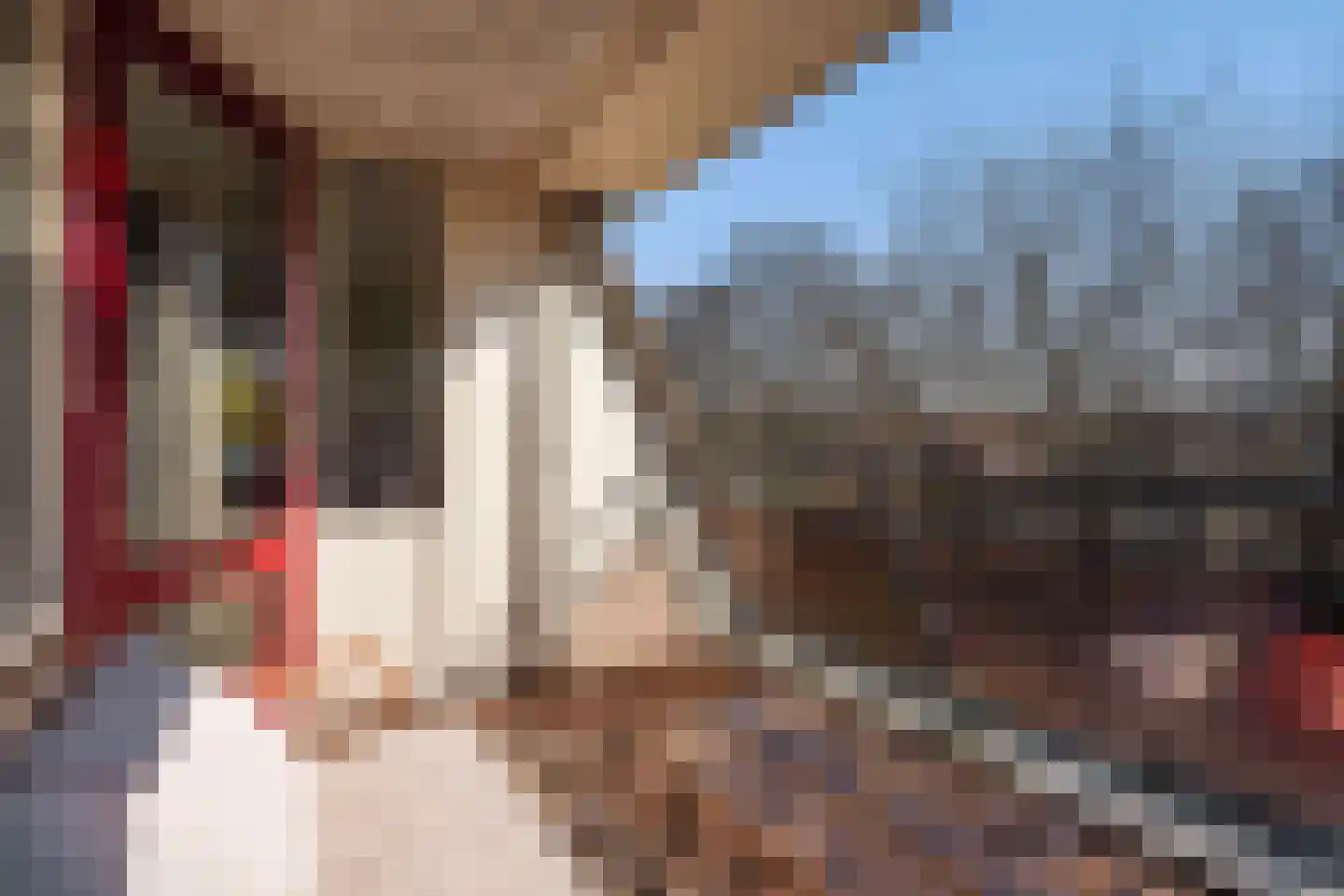 Drie Hoeven 47 Maasland thumbnail 31