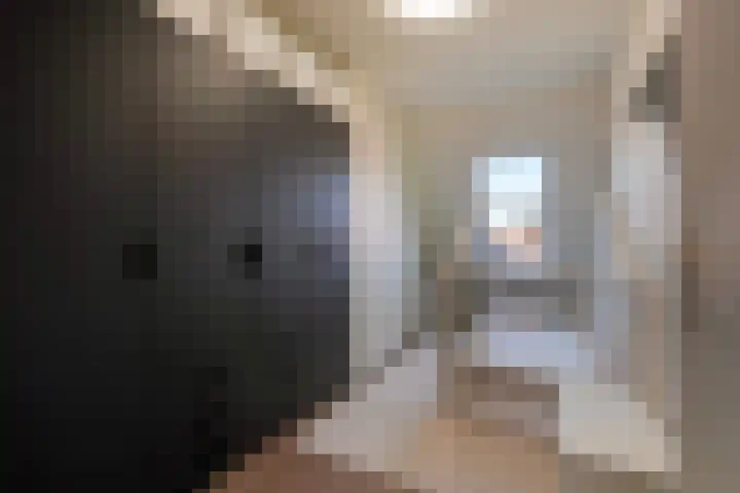 Drie Hoeven 47 Maasland thumbnail 42