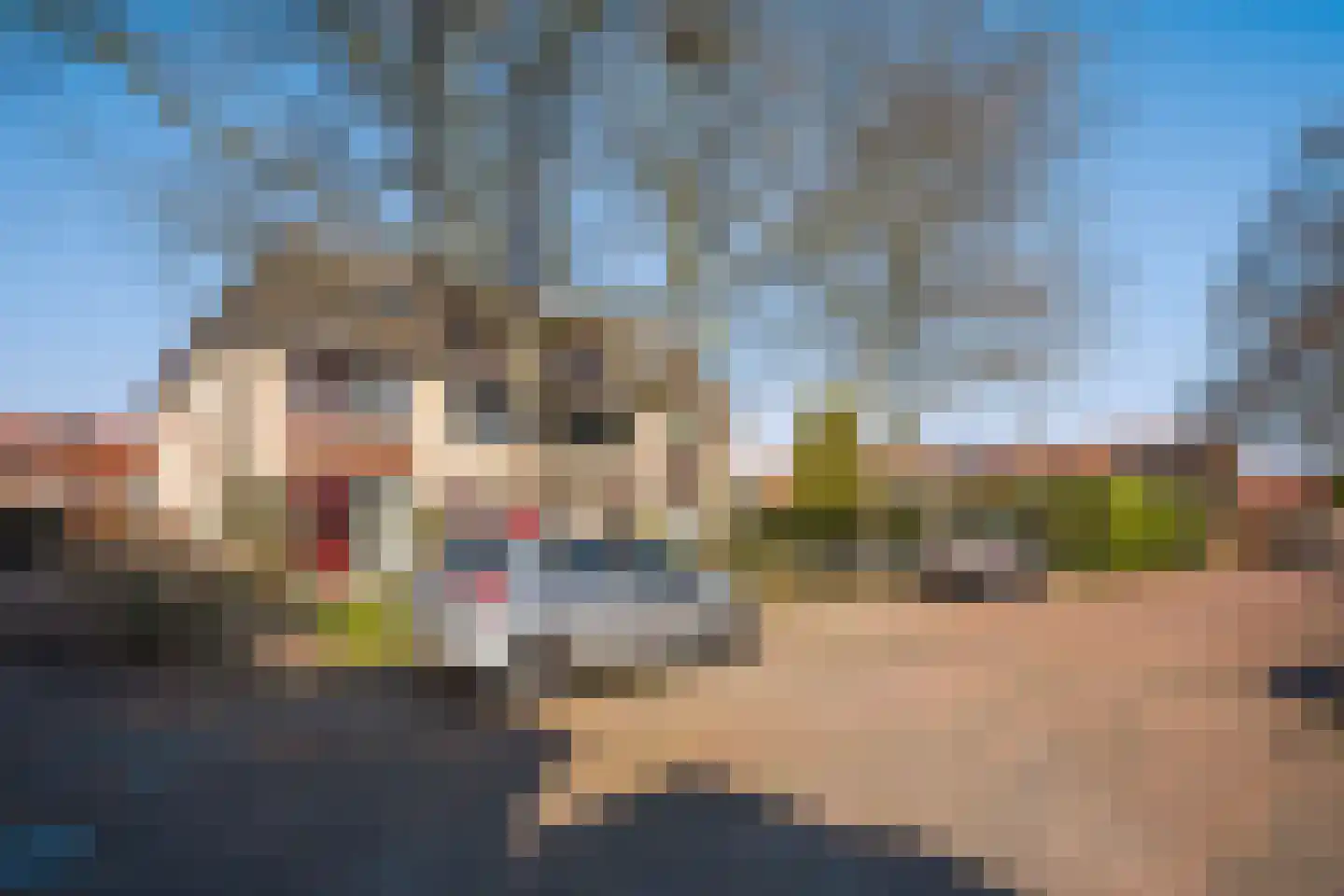 Drie Hoeven 47 Maasland thumbnail 5