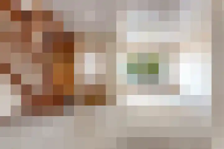 Drie Jofferengaarde 7 Odijk thumbnail 18