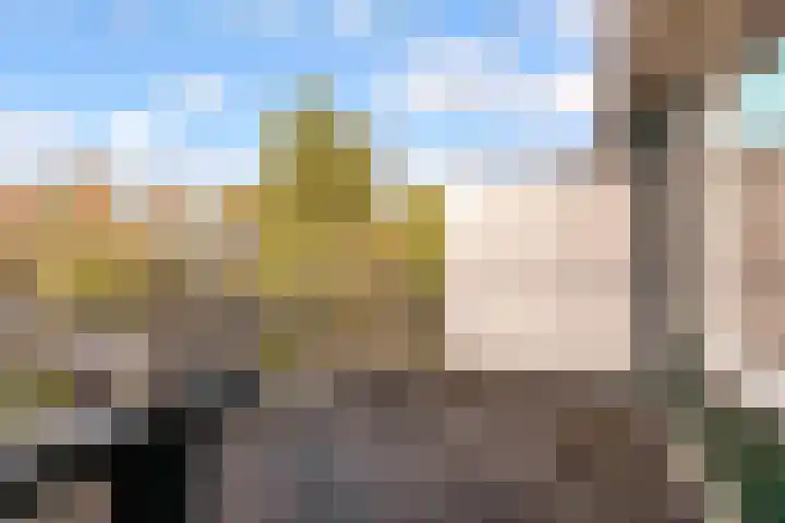 Drie Jofferengaarde 7 Odijk thumbnail 32