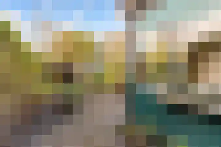 Drie Jofferengaarde 7 Odijk thumbnail 34