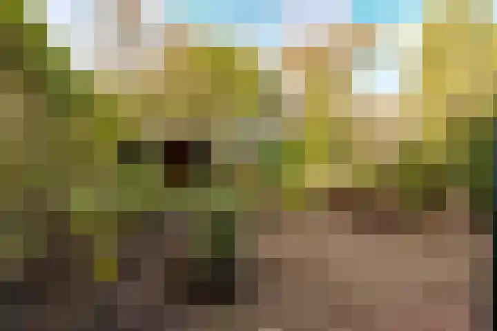 Drie Jofferengaarde 7 Odijk thumbnail 35