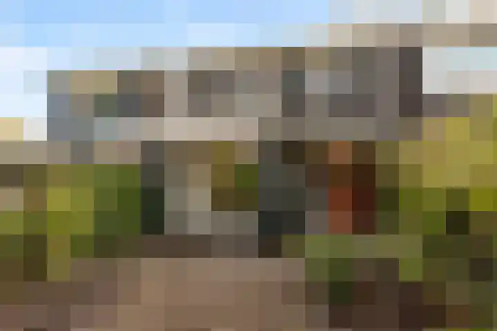 Drie Jofferengaarde 7 Odijk thumbnail 36