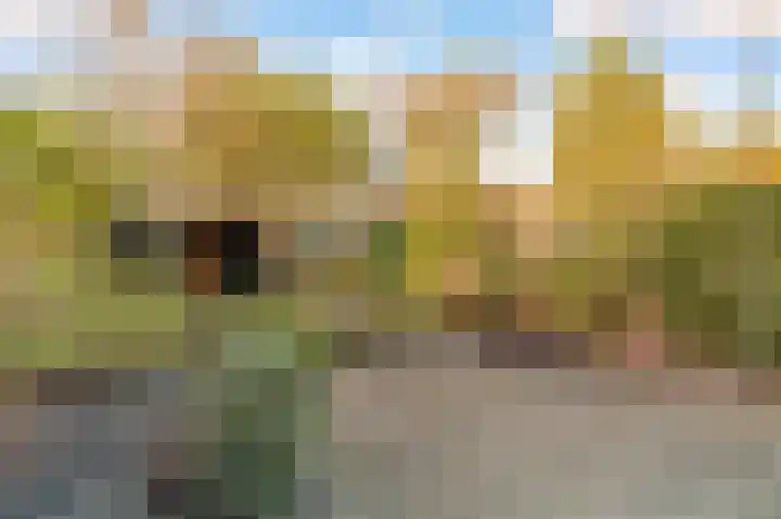 Drie Jofferengaarde 7 Odijk thumbnail 37