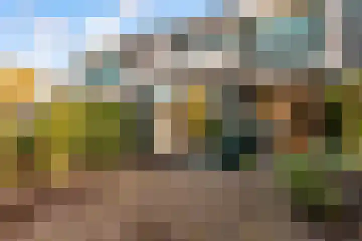 Drie Jofferengaarde 7 Odijk thumbnail 38